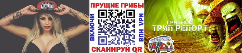 Галлюциногенные грибы Psilocybine cubensis Бокситогорск